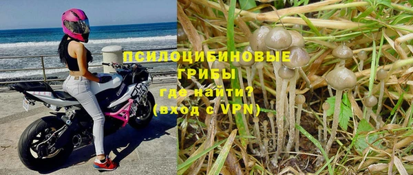 ГАЛЛЮЦИНОГЕННЫЕ ГРИБЫ Краснослободск