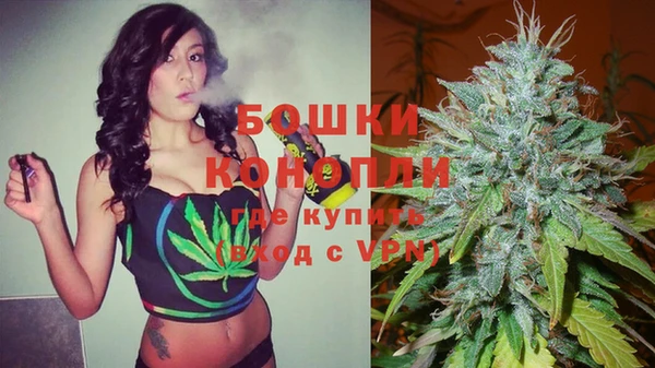 шишки Краснотурьинск