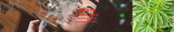 ГАЛЛЮЦИНОГЕННЫЕ ГРИБЫ Красноперекопск