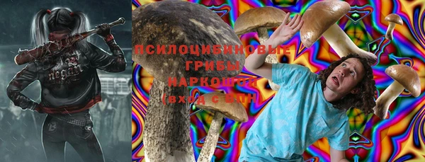 ГАЛЛЮЦИНОГЕННЫЕ ГРИБЫ Краснослободск