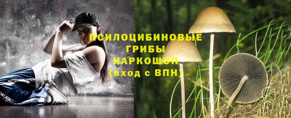 ГАЛЛЮЦИНОГЕННЫЕ ГРИБЫ Красноперекопск