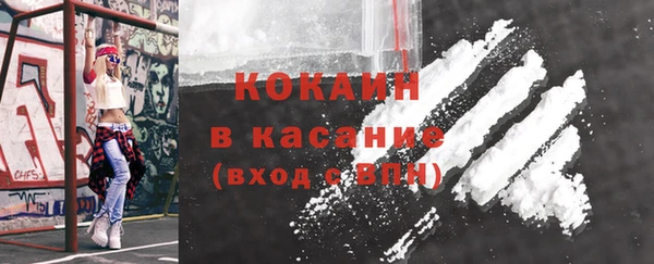 шишки Краснотурьинск