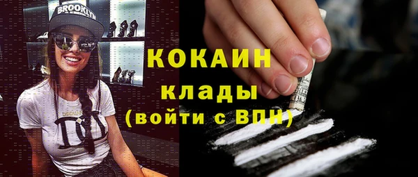 шишки Краснотурьинск