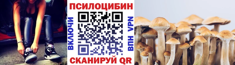 продажа наркотиков  Приморско-Ахтарск  Псилоцибиновые грибы Cubensis 