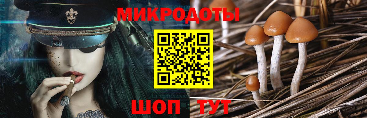 Галлюциногенные грибы GOLDEN TEACHER  Вход с VPN  Приморско-Ахтарск  Псилоцибиновые грибы MAGIC MUSHROOMS 